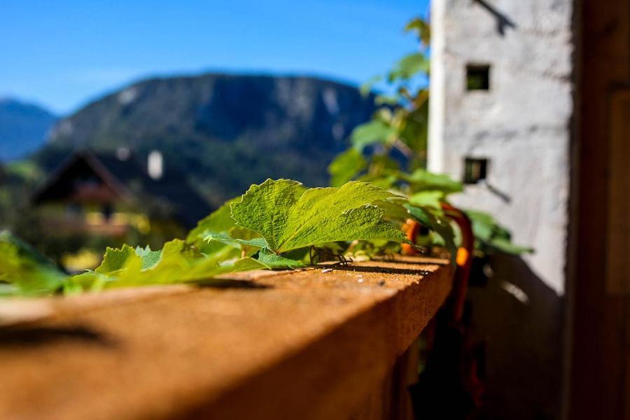 Apartmaji Pri Kozmavo - Little House Bohinj Luaran gambar